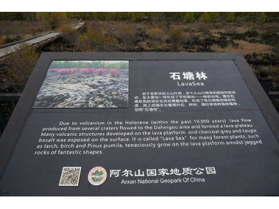 帕鲁旅游指南：必看景点、实用提示与攻略